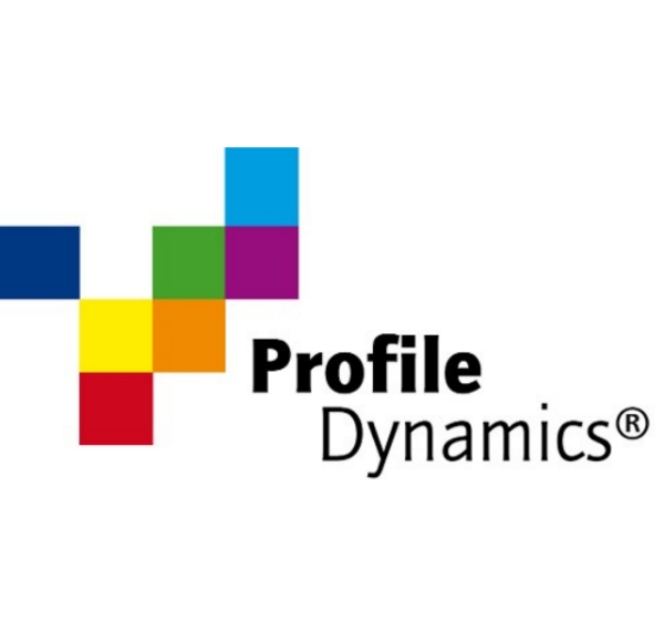 Profile Dynamics® Teamanalyse