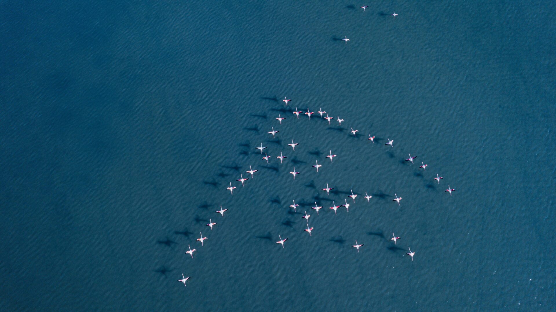 Cultuurverandering in organisaties